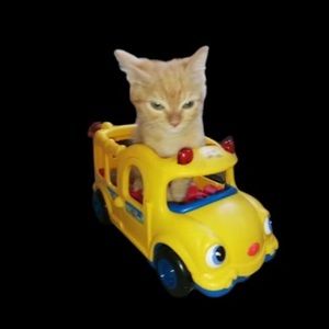 Meet your Posher, Dyland